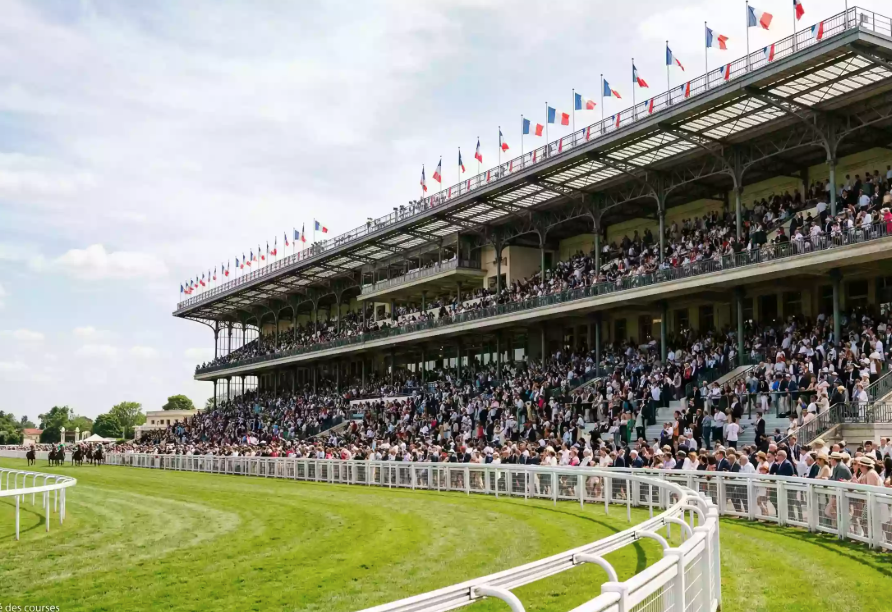 turf universel || univers turf || turf universel pmu || universel turf || turf univers